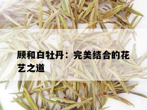 顾和白牡丹：完美结合的花艺之道