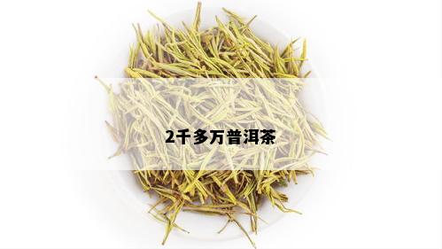 2千多万普洱茶