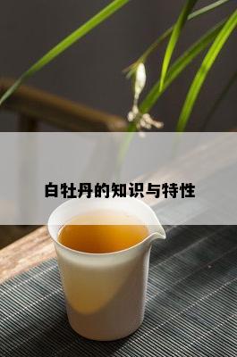 白牡丹的知识与特性