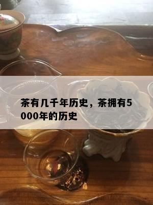 茶有几千年历史，茶拥有5000年的历史