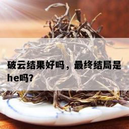 破云结果好吗，最终结局是he吗？