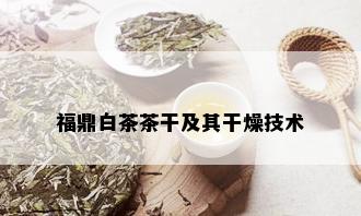 福鼎白茶茶干及其干燥技术