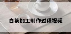 白茶加工制作过程视频