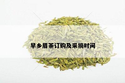 早乡眉茶订购及采摘时间