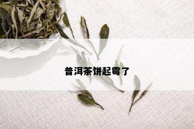 普洱茶饼起霉了