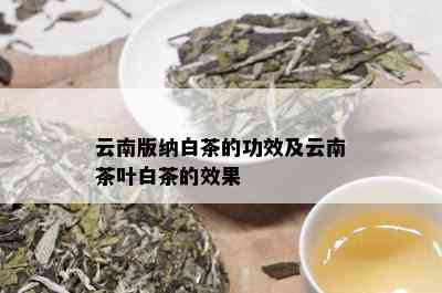 云南版纳白茶的功效及云南茶叶白茶的效果