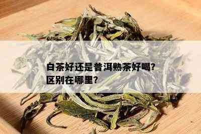 白茶好还是普洱熟茶好喝？区别在哪里？