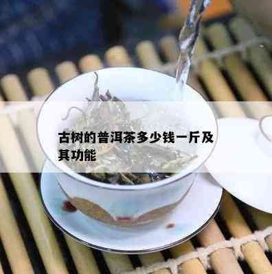 古树的普洱茶多少钱一斤及其功能