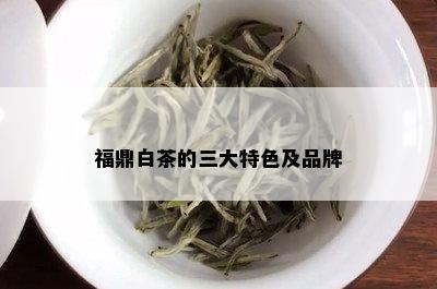 福鼎白茶的三大特色及品牌