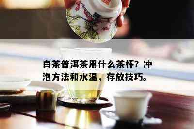 白茶普洱茶用什么茶杯？冲泡方法和水温，存放技巧。