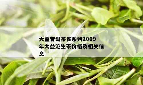 大益普洱茶雀系列2009年大益沱生茶价格及相关信息