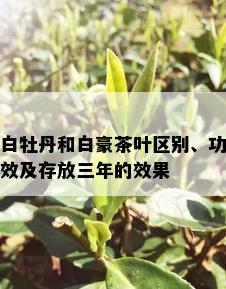 白牡丹和白豪茶叶区别、功效及存放三年的效果