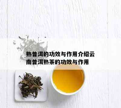 熟普洱的功效与作用介绍云南普洱熟茶的功效与作用