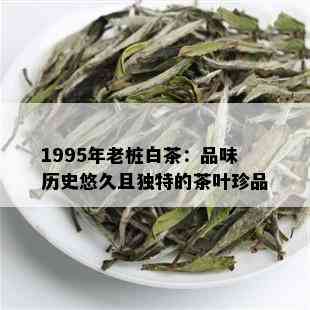 1995年老桩白茶：品味历史悠久且独特的茶叶珍品