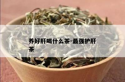 养好肝喝什么茶-最强护肝茶