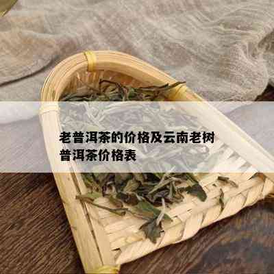 老普洱茶的价格及云南老树普洱茶价格表