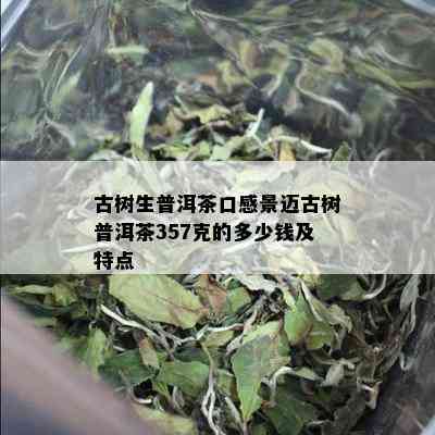 古树生普洱茶口感景迈古树普洱茶357克的多少钱及特点