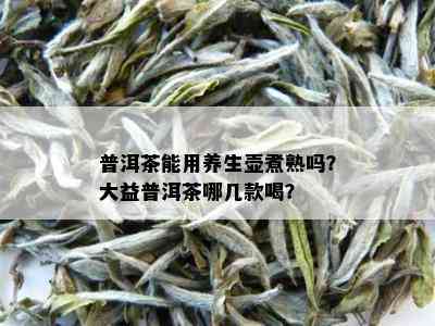 普洱茶能用养生壶煮熟吗？大益普洱茶哪几款喝？