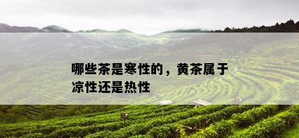 哪些茶是寒性的，黄茶属于凉性还是热性