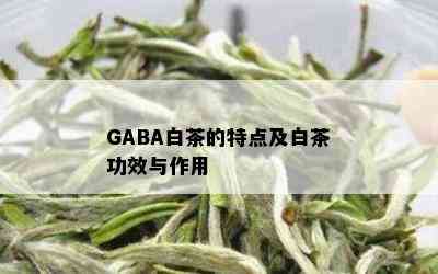 GABA白茶的特点及白茶功效与作用