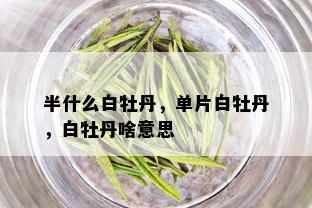 半什么白牡丹，单片白牡丹，白牡丹啥意思