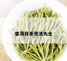 普洱白茶泡法大全