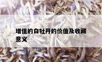 增值的白牡丹的价值及收藏意义