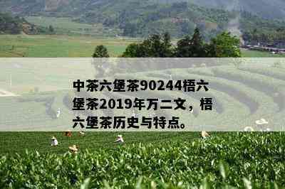 中茶六堡茶90244梧六堡茶2019年万二文，梧六堡茶历史与特点。