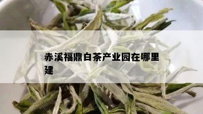 赤溪福鼎白茶产业园在哪里建