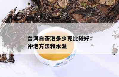 普洱白茶泡多少克比较好：冲泡方法和水温