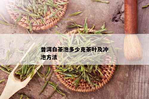 普洱白茶泡多少克茶叶及冲泡方法