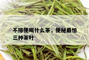 不排便喝什么茶，便秘最怕三种茶叶