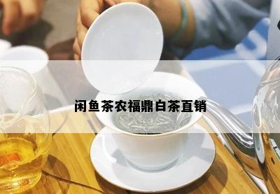 闲鱼茶农福鼎白茶直销