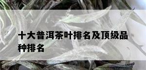 十大普洱茶叶排名及顶级品种排名