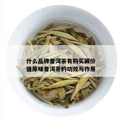 什么品牌普洱茶有购买藏价值原味普洱茶的功效与作用