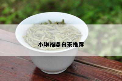 小琳福鼎白茶推荐