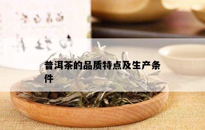 普洱茶的品质特点及生产条件