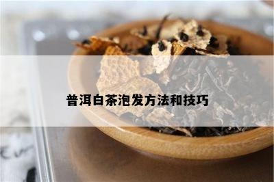 普洱白茶泡发方法和技巧