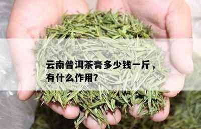 云南普洱茶膏多少钱一斤，有什么作用？