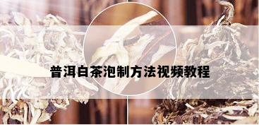 普洱白茶泡制方法视频教程