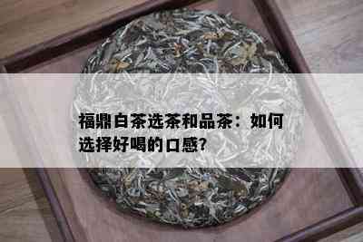 福鼎白茶选茶和品茶：如何选择好喝的口感？