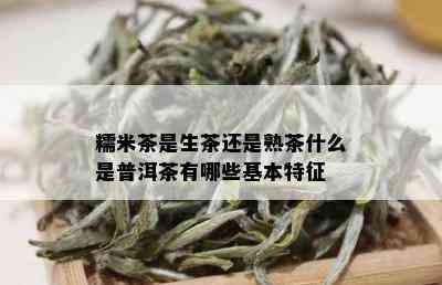 糯米茶是生茶还是熟茶什么是普洱茶有哪些基本特征