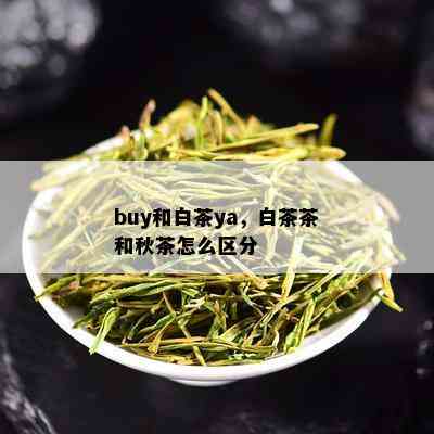 buy和白茶ya，白茶茶和秋茶怎么区分