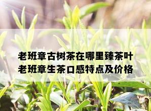 老班章古树茶在哪里臻茶叶老班章生茶口感特点及价格