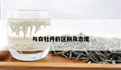 与白牡丹的区别及态度