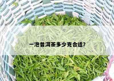 一泡普洱茶多少克合适？