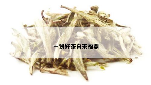 一饼好茶白茶福鼎