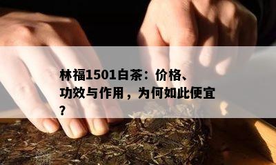 林福1501白茶：价格、功效与作用，为何如此便宜？