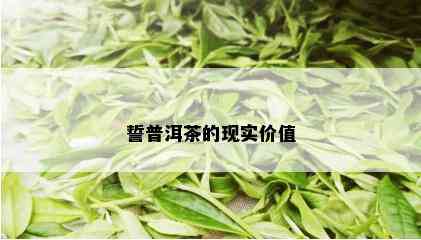 誓普洱茶的现实价值