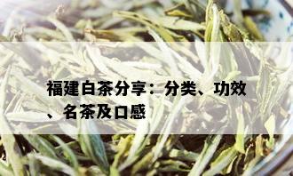 福建白茶分享：分类、功效、名茶及口感